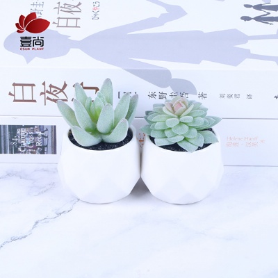 High-Quality Artificial Succulent Plants With Mini Ceramic Pot