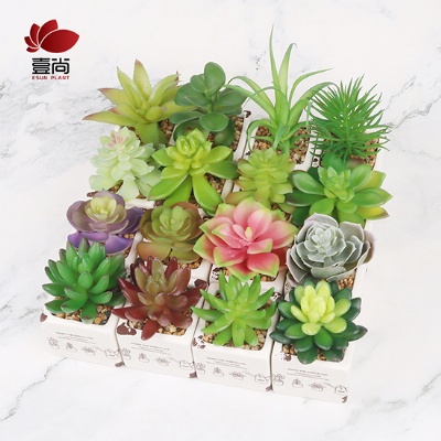 Artificial succulents in potted plants for Bedroom Decor,Shelf Decor or as a Desk Plant. Artificial succulent plants